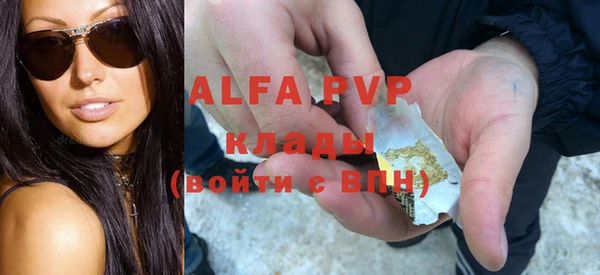 сатива Великий Новгород