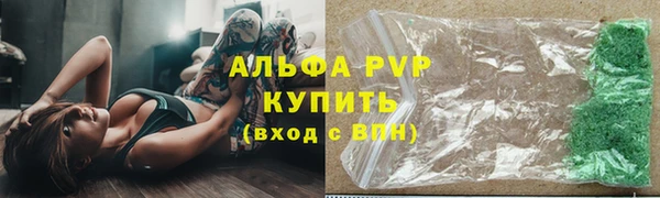 сатива Великий Новгород