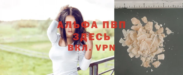 сатива Великий Новгород