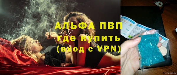 сатива Великий Новгород