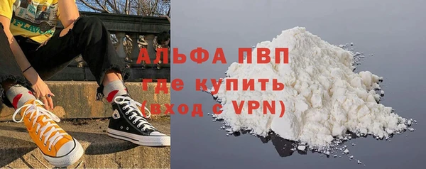 сатива Великий Новгород