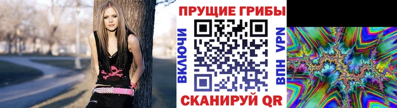Псилоцибиновые грибы мухоморы Белоозёрский